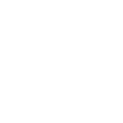 Wordpress Hosting
